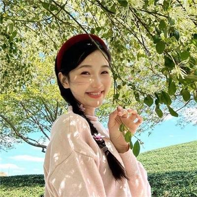 圣山村谜局
